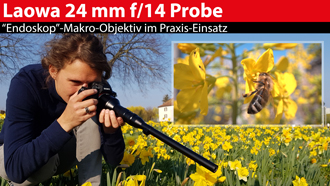 Makro-Objektiv im Praxis-Check: Laowa 24 mm f/14 Probe - Testszenen