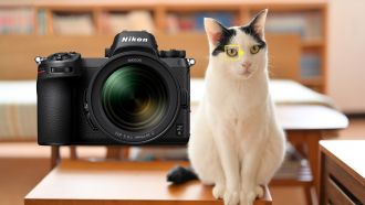 Nikon Z-Kameras: Firmware-Updates für besseren AF