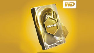 wd gold 10tb web